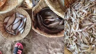 Гагра: речная рыбалка — перекаты, воблеры и осторожный заброс