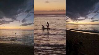 Las Terrenas, Доминикана - закат и рыбалка с пирса: работает ли вечерний клев по джеку?