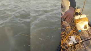 Сундарбанс, река: рыбалка в тени мангров и спокойный ход лодки