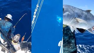 Pemba, Zanzibar — морская рыбалка на GT: джиг и поппинг по свалам