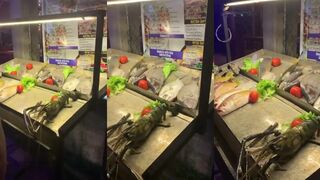 Унаватуна, Шри-Ланка: рыбалка у волнореза и чайки над пеной