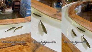 Fethiye, Турция - прогулка на «пиратском» корабле, есть ли рыбалка по пути к гротам?