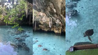 Занзибар, Kizimkazi — черепахи у пещеры Салам: а морская рыбалка на рифе тут возможна?