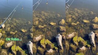 Инстант-клюет: рыба за 0.0002 сек – что за точка и приманка