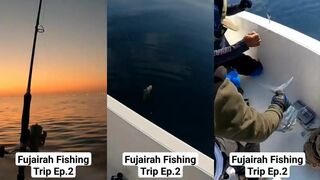 Фуджейра, рыбалка 2: маршрут по бровкам и снасти на кориа