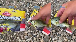 Правдоподобные приманки: где они помогают, а где рыбалка без них клюет даже лучше?