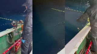 Восточно-Китайское море: тянем сайду ночью — огни и косяки