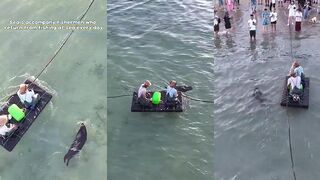 Тюлени встречают рыбаков: когда заходить в марину, чтобы не мешать