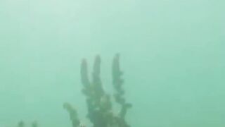 Джибути, Африка — морская рыбалка у базальтовых берегов и плато