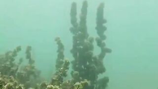 Джибути, Африка — морская рыбалка у базальтовых берегов и плато