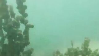 Джибути, Африка — морская рыбалка у базальтовых берегов и плато