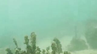 Джибути, Африка — морская рыбалка у базальтовых берегов и плато