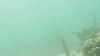 Джибути, Африка — морская рыбалка у базальтовых берегов и плато