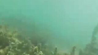 Джибути, Африка — морская рыбалка у базальтовых берегов и плато