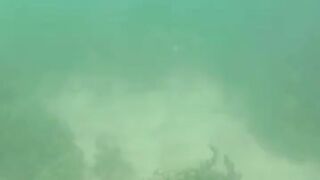 Джибути, Африка — морская рыбалка у базальтовых берегов и плато