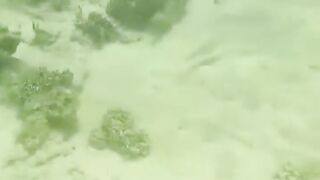 Джибути, Африка — морская рыбалка у базальтовых берегов и плато