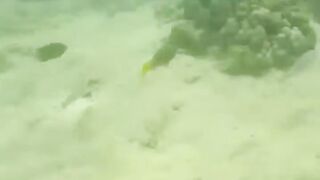 Джибути, Африка — морская рыбалка у базальтовых берегов и плато