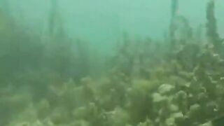 Джибути, Африка — морская рыбалка у базальтовых берегов и плато