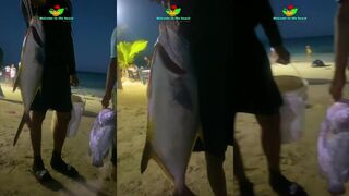 Бока Чика, Доминикана: рыбалка с пляжа и быстрые хищники у свала