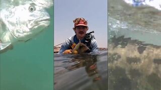 Джибути: флай-фишинг по GT, триггерам и групперам — хроники 2022