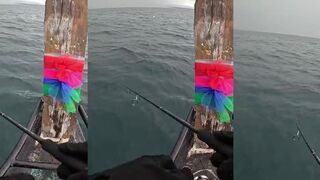 Khao Lak — тунец на поппер: как пережить первый выход без схода