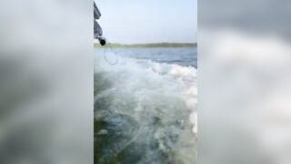 Бентота, река Шри-Ланки: вид на мангры и точки для вечерней рыбалки