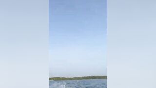 Бентота, река Шри-Ланки: вид на мангры и точки для вечерней рыбалки