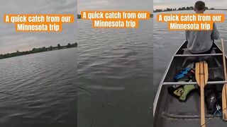 Minnesota, Lake Alexandria - рыбалка на басса: где спустить лодку и когда лучше выход?