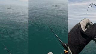 GT в Таиланде: поверхностная атака — как выдержать подсечку