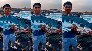 Салала, Оман - морская рыбалка в Salalah на queenfish: точки, проводки и время прилива