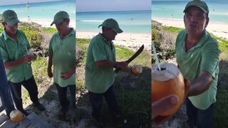 Куба, Кайо Санта Мария: кокос и утренний выход на риф