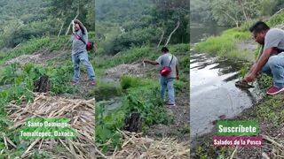 Оахака, Мексика: Томальтепек — бас с берега на ранней заре