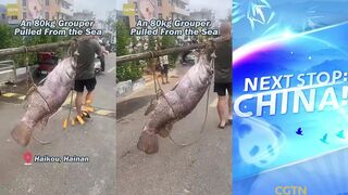 80 кг группер у берега — какой трофей и на что он сел?