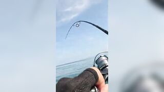 Khao Lak popping на GT: морская рыбалка, проводка поппера и выбор точки свала