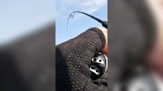 Khao Lak popping на GT: морская рыбалка, проводка поппера и выбор точки свала