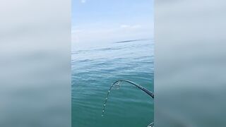 Khao Lak popping на GT: морская рыбалка, проводка поппера и выбор точки свала