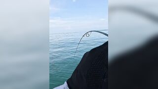 Khao Lak popping на GT: морская рыбалка, проводка поппера и выбор точки свала