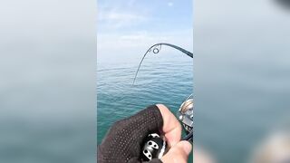 Khao Lak popping на GT: морская рыбалка, проводка поппера и выбор точки свала