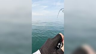 Khao Lak popping на GT: морская рыбалка, проводка поппера и выбор точки свала