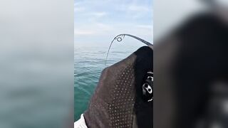 Khao Lak popping на GT: морская рыбалка, проводка поппера и выбор точки свала