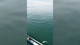 Khao Lak popping на GT: морская рыбалка, проводка поппера и выбор точки свала
