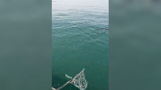 Khao Lak popping на GT: морская рыбалка, проводка поппера и выбор точки свала