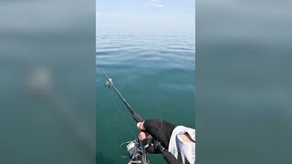 Khao Lak popping на GT: морская рыбалка, проводка поппера и выбор точки свала