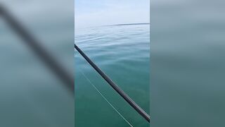 Khao Lak popping на GT: морская рыбалка, проводка поппера и выбор точки свала