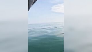 Khao Lak popping на GT: морская рыбалка, проводка поппера и выбор точки свала