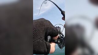 Khao Lak popping на GT: морская рыбалка, проводка поппера и выбор точки свала