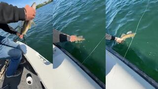 Миннесота, Lake Reno - релиз судака 19": береговая рыбалка по ветру