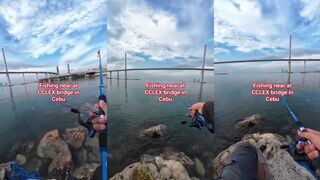 CCLEX: что клюет под мостом ночью и на рассвете у пролётов?