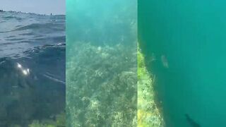 Гагра, Центральный пляж - рыбалка в прибое или лучше уйти на мол и ловить у камней?