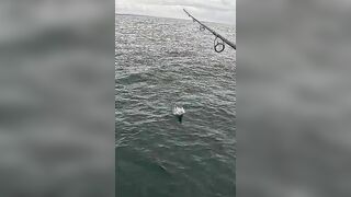 Тунец сорвал поппер у борта — как не повторить blow-up fail?